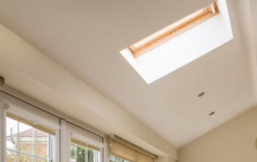 Brinian conservatory roof insulation companies