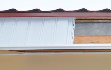 Brinian fascia repair costs