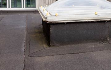 disadvantages of Brinian flat roofs