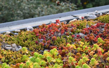 the cost of Brinian green roof installation