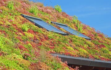 Brinian living roof systems