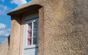 Brinian thatch roof disadvantages