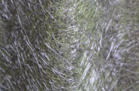 Brinian fibreglass roof work