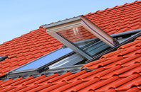 Brinian roof window