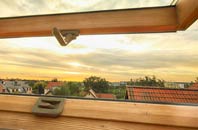 rated Brinian roof window companies